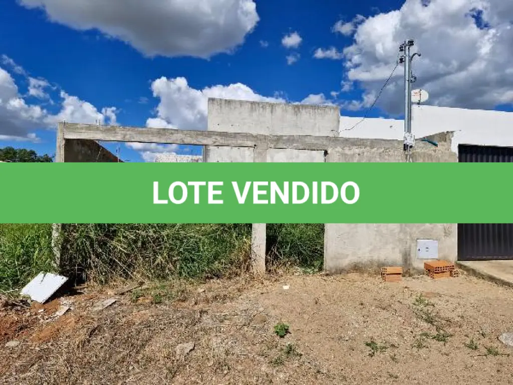LOTE 101