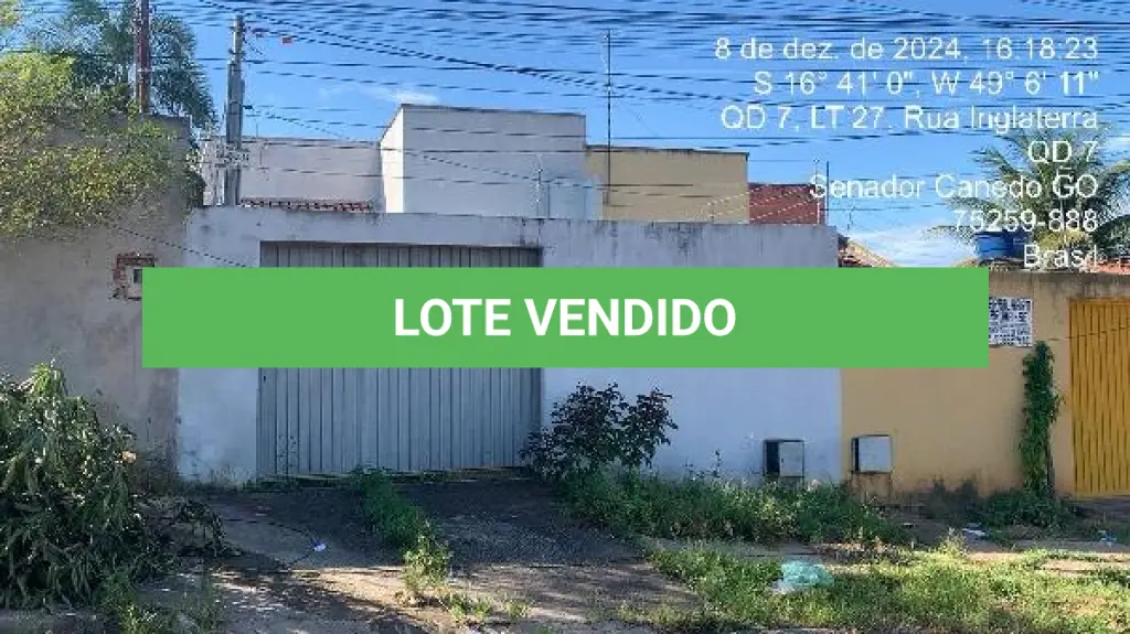 LOTE 113
