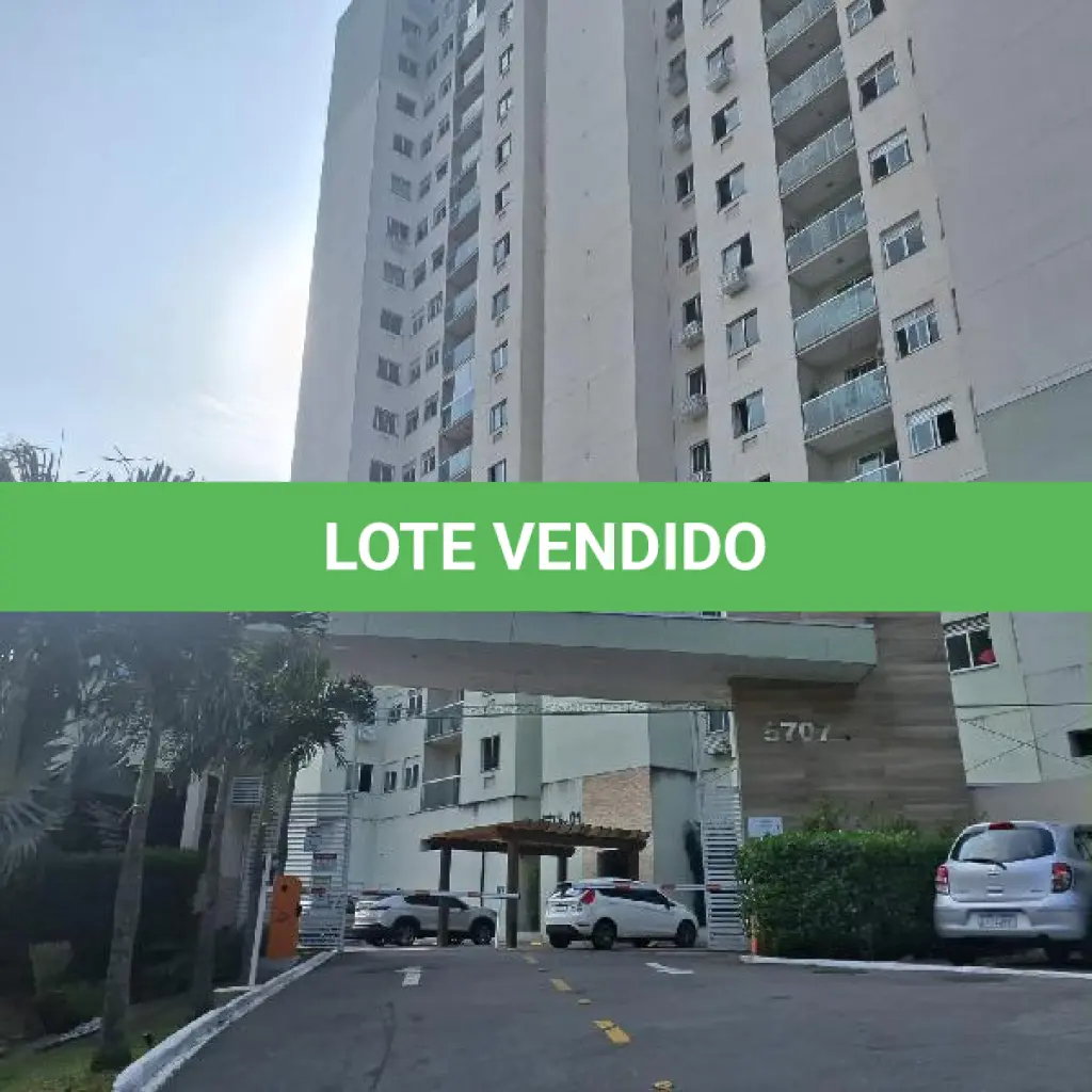 LOTE 333
