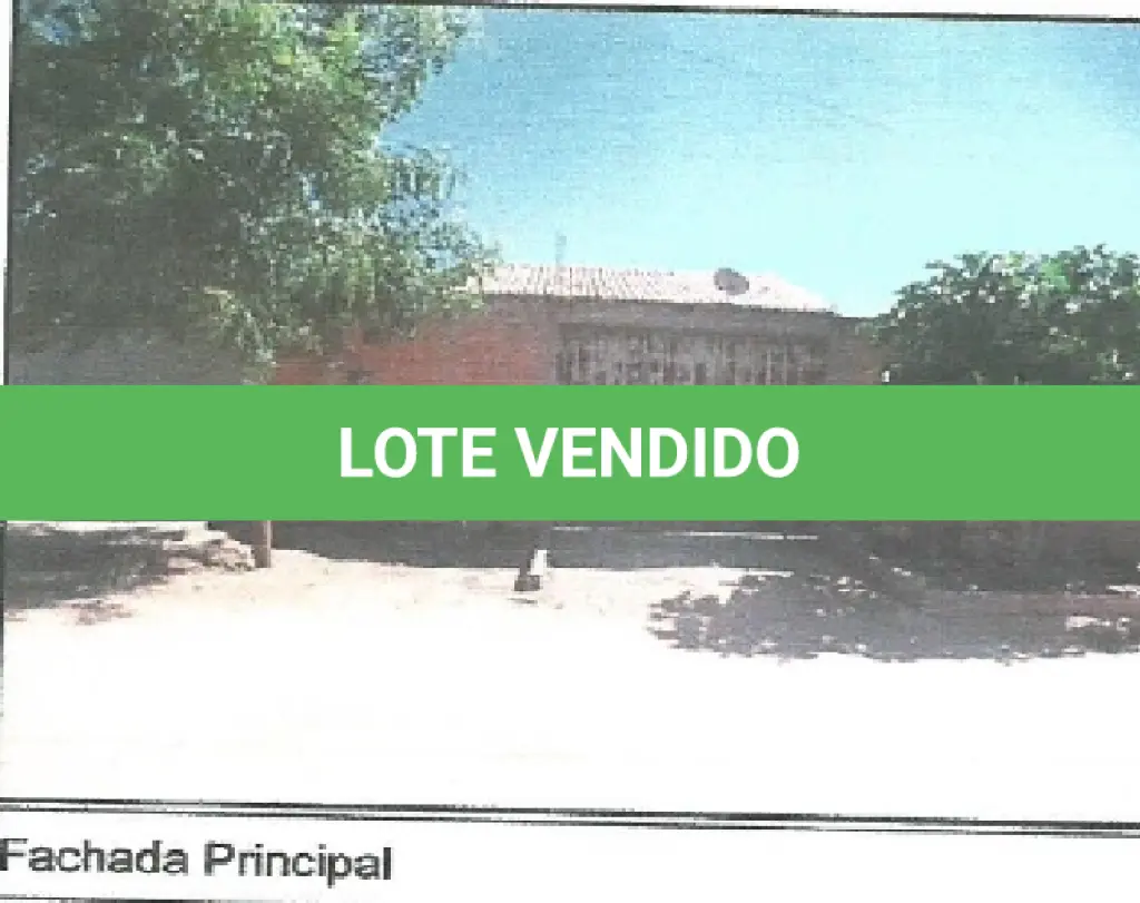 LOTE 142