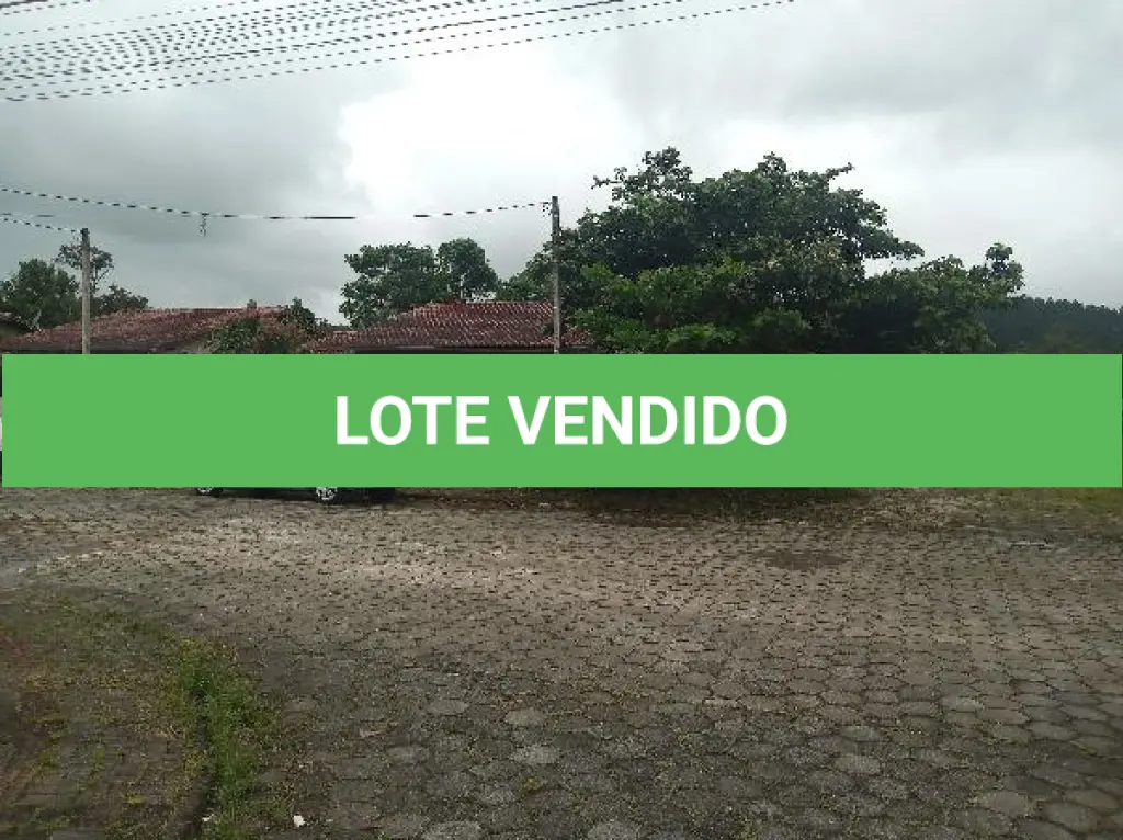 LOTE 426