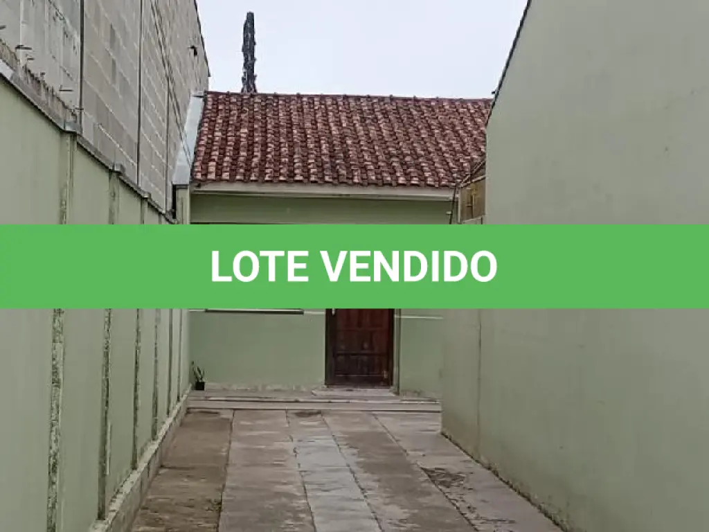 LOTE 299