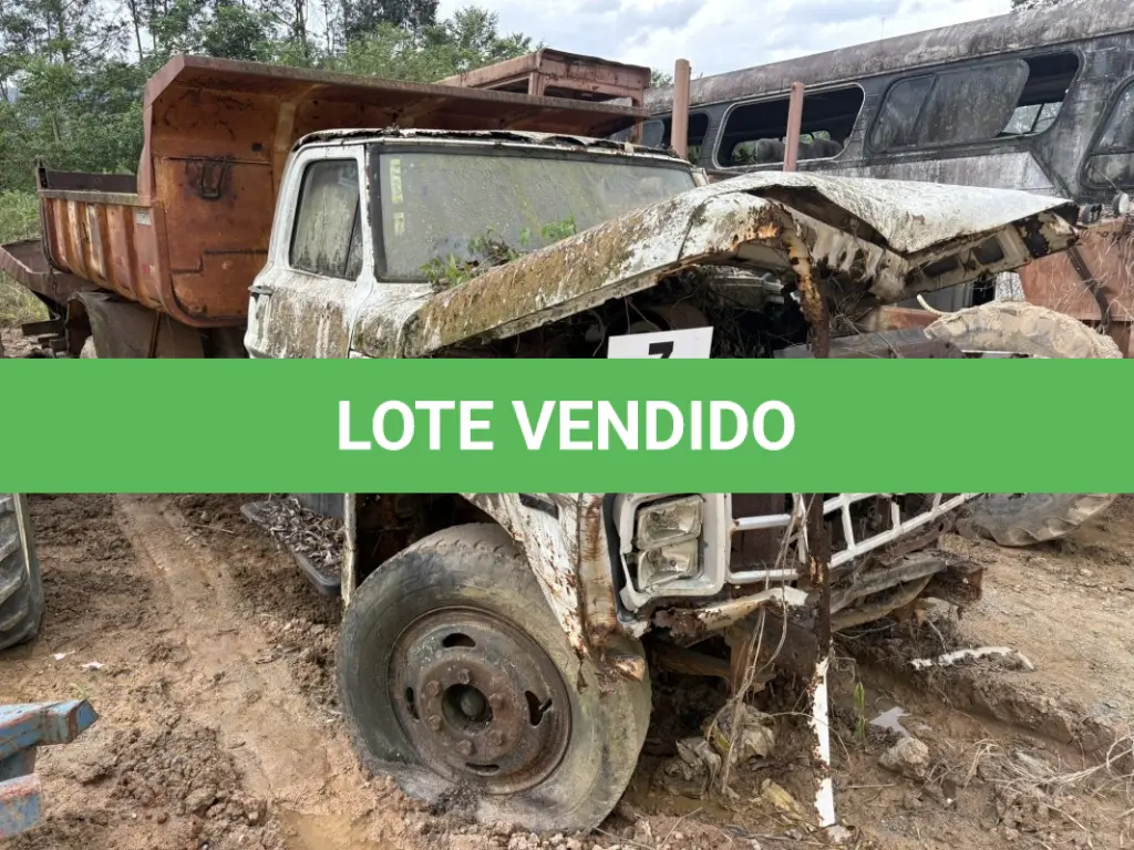 LOTE 007