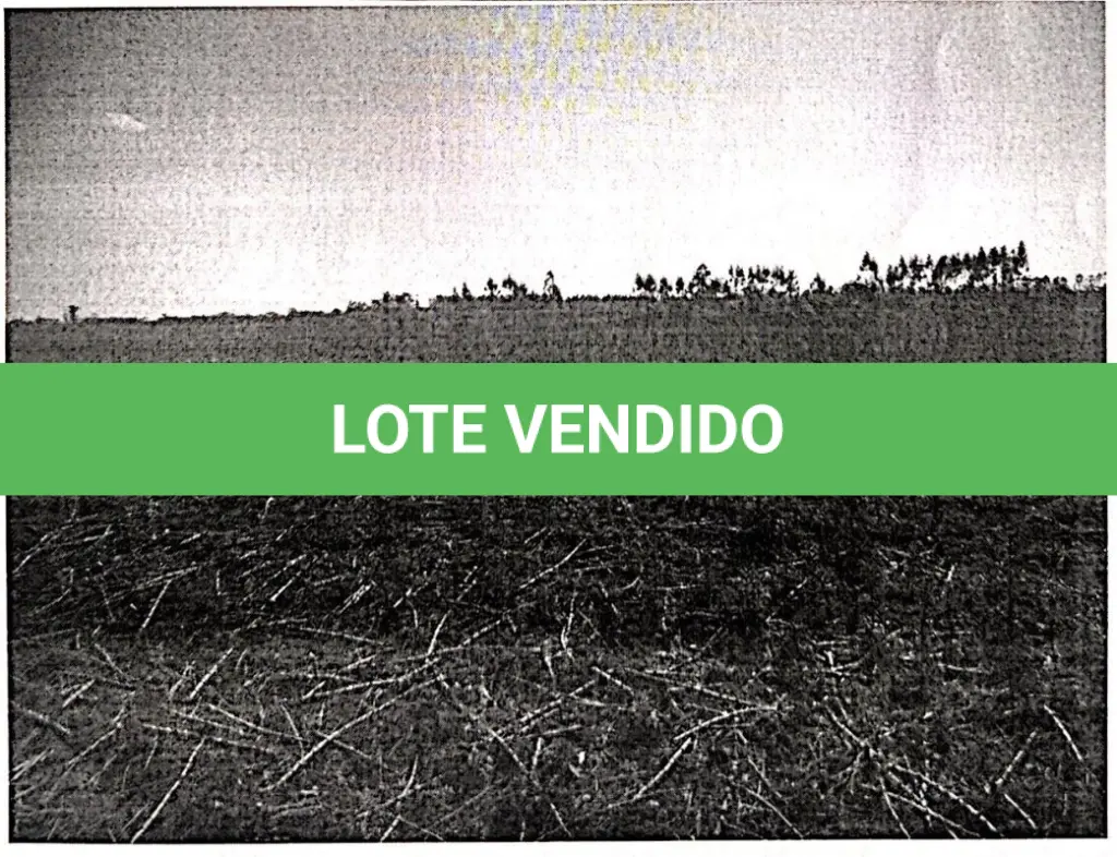LOTE 001