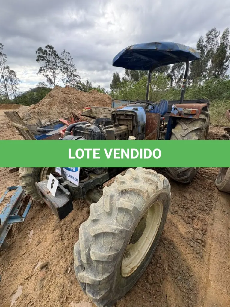 LOTE 008
