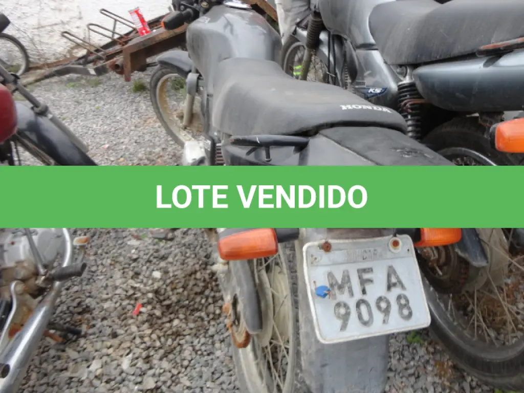 LOTE 29191