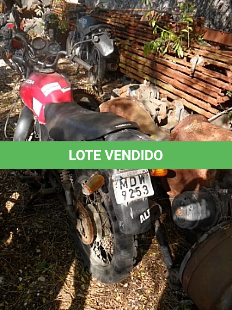 LOTE 29171