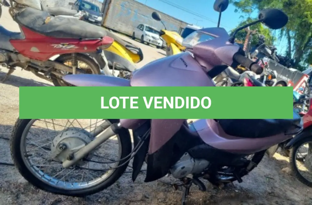 LOTE 29101