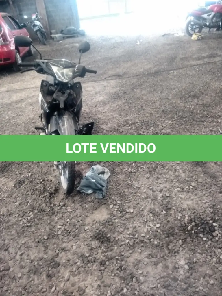 LOTE 29085