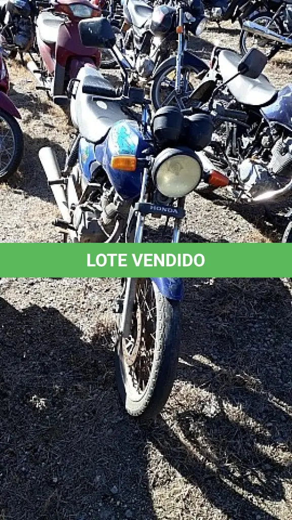 LOTE 29181