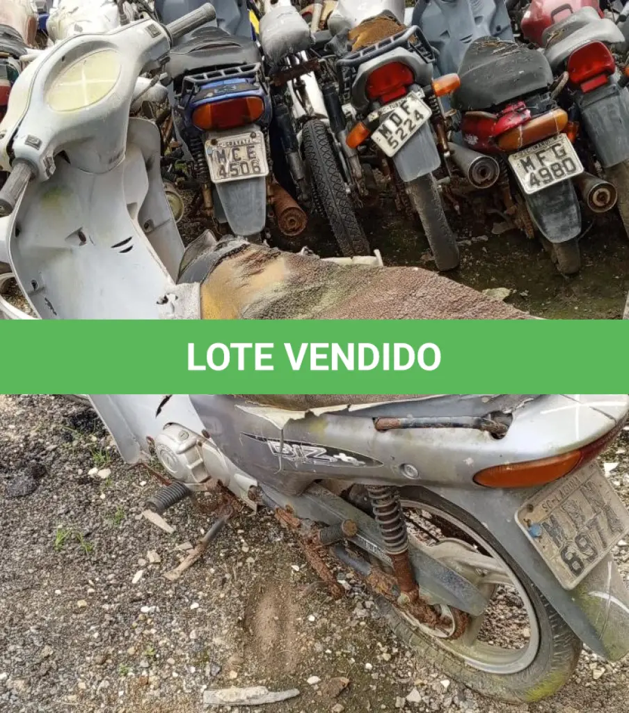 LOTE 29175