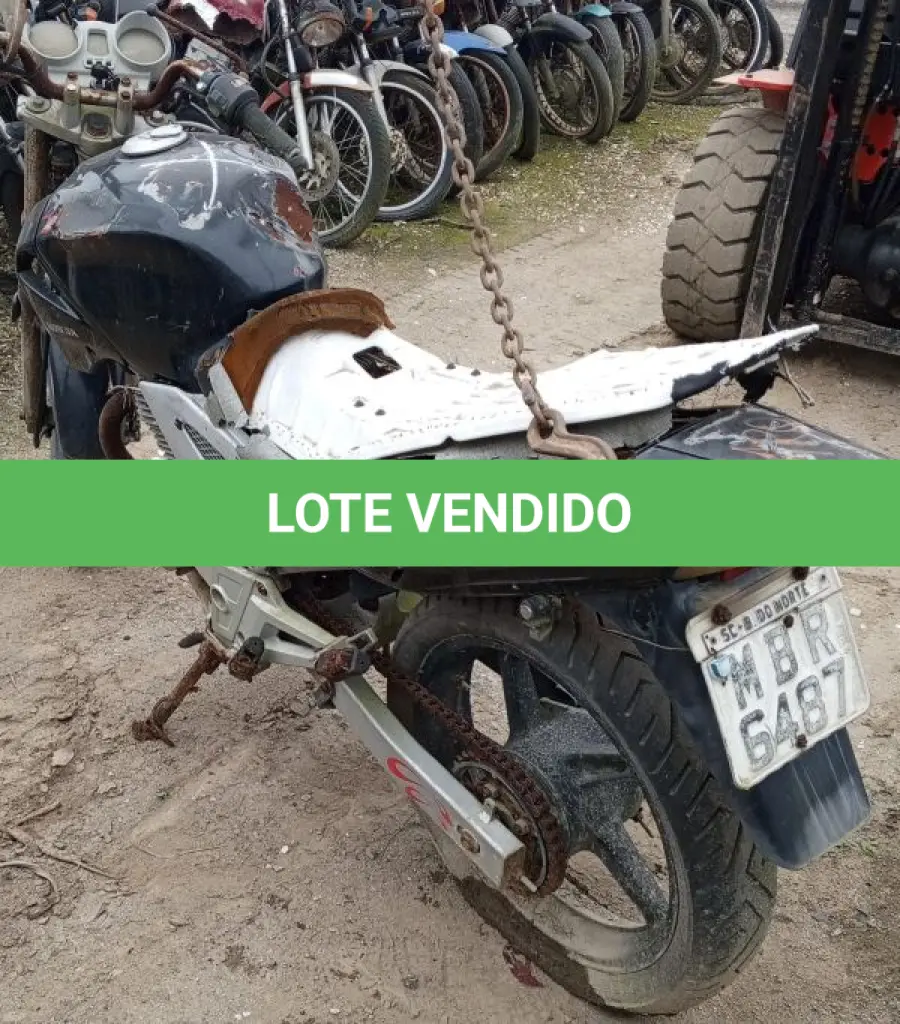 LOTE 29228