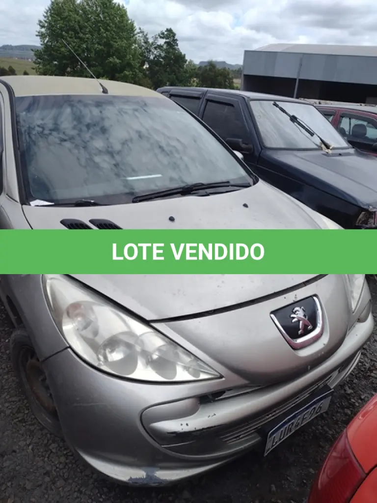 LOTE 29047