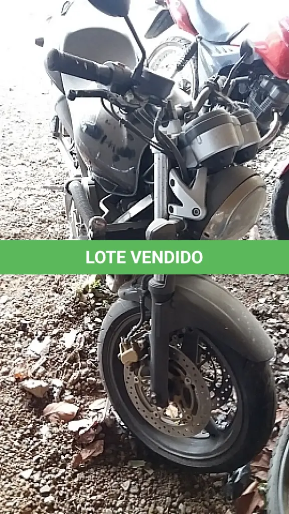 LOTE 29106