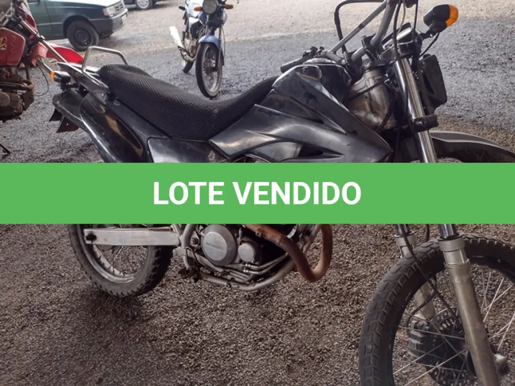 LOTE 29081