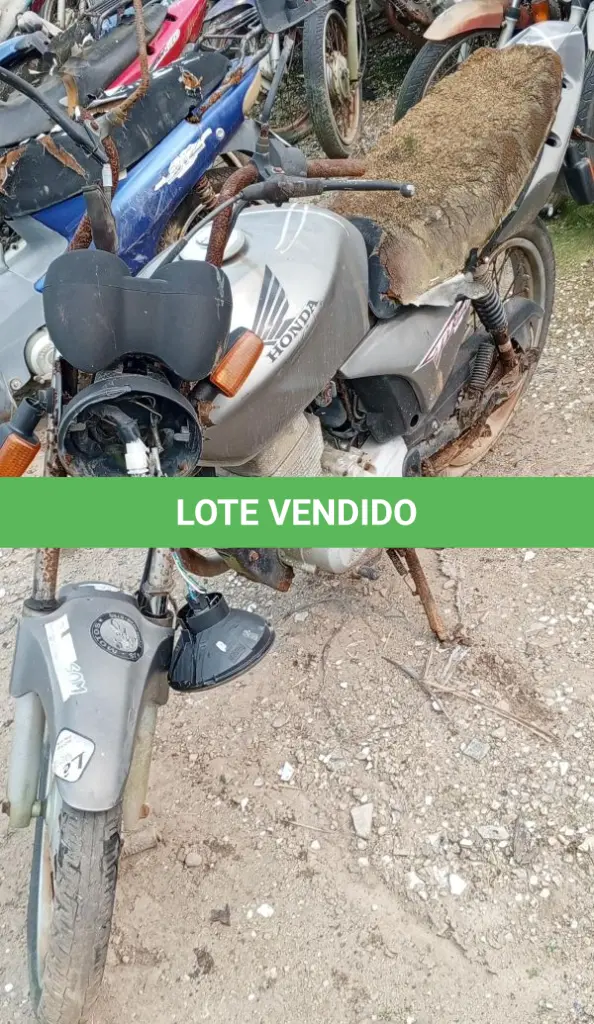 LOTE 29169
