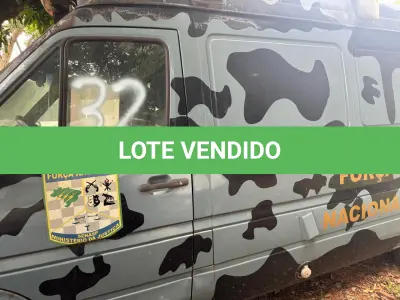 LOTE 032 - FURGÃO