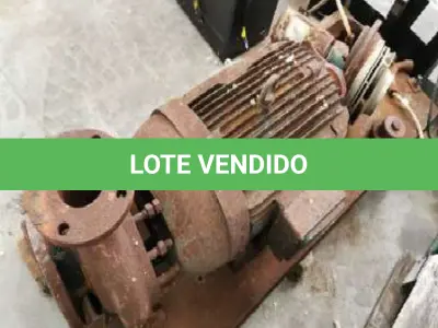LOTE 012 - Moto bomba