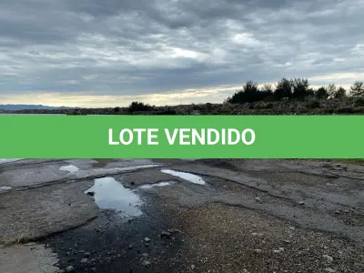 LOTE 002 - Draga de sucção