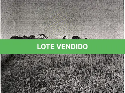 LOTE 001 - Terreno Rural