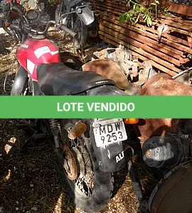 LOTE 29171 - 29171