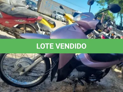 LOTE 29101 - 29101