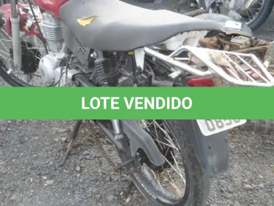 LOTE 29156 - 29156