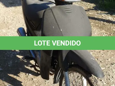 LOTE 29102 - 29102