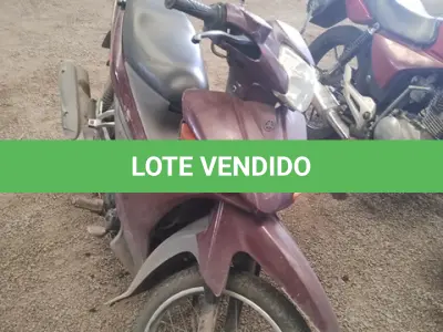 LOTE 29077 - 29077