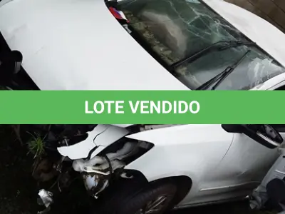 LOTE 29124 - 29124