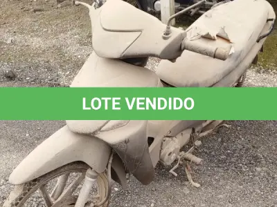 LOTE 29180 - 29180