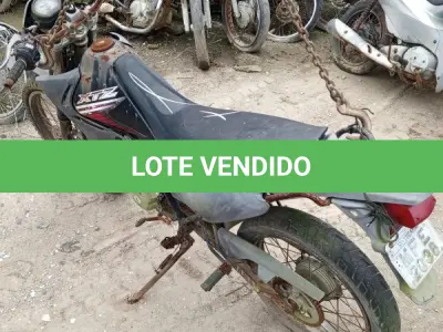 LOTE 29198 - 29198