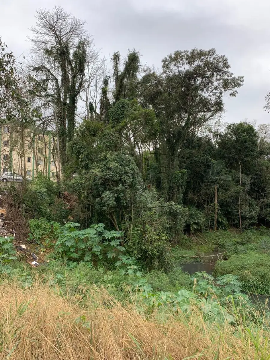 LOTE 001 - TERRENO EDIFICADO