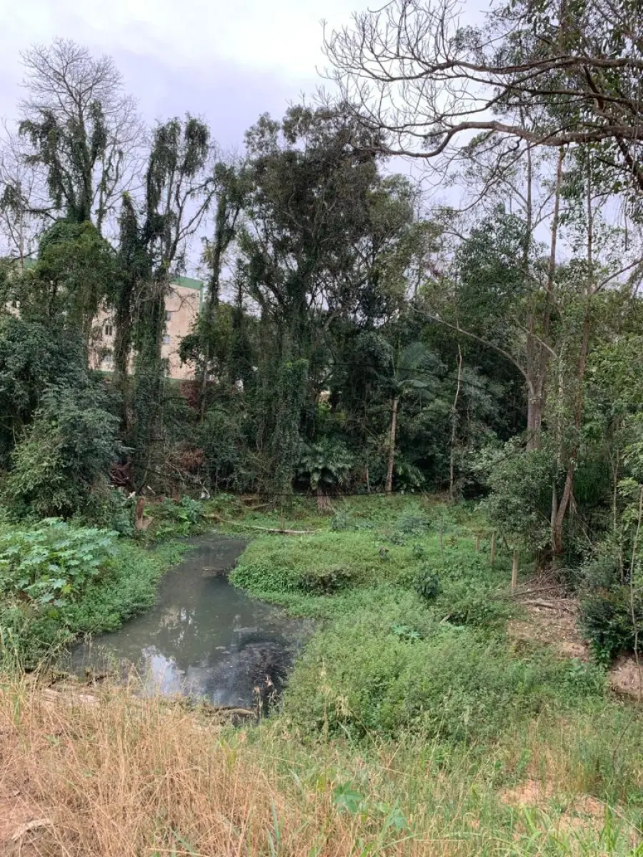 LOTE 001 - TERRENO EDIFICADO