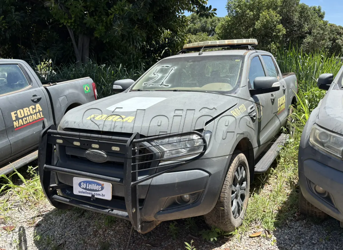 LOTE 051 - PICAPE