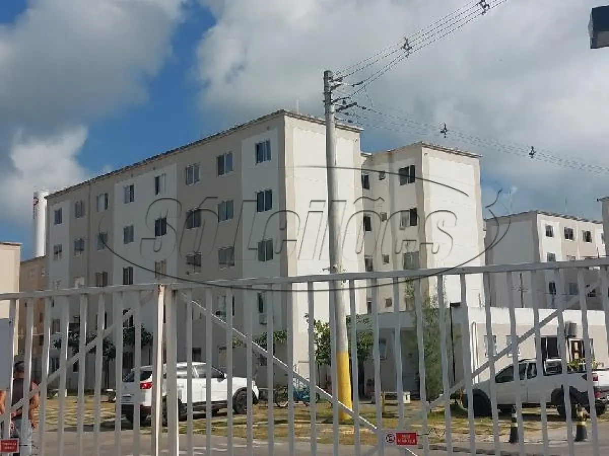 LOTE 216 - PE/JABOATAO DOS GUARARAPES/APARTAMENTO