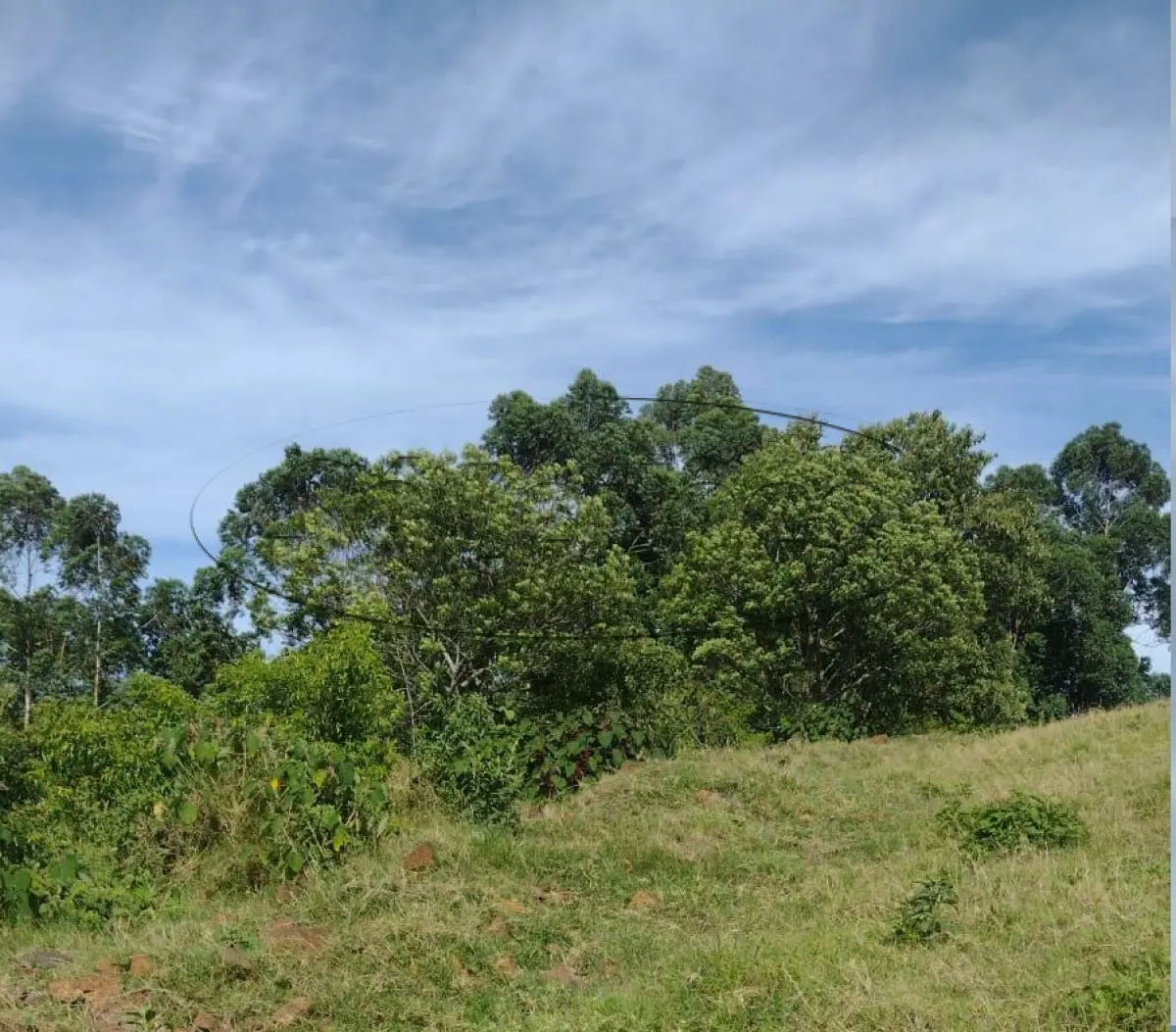 LOTE 001 - Terreno Rural