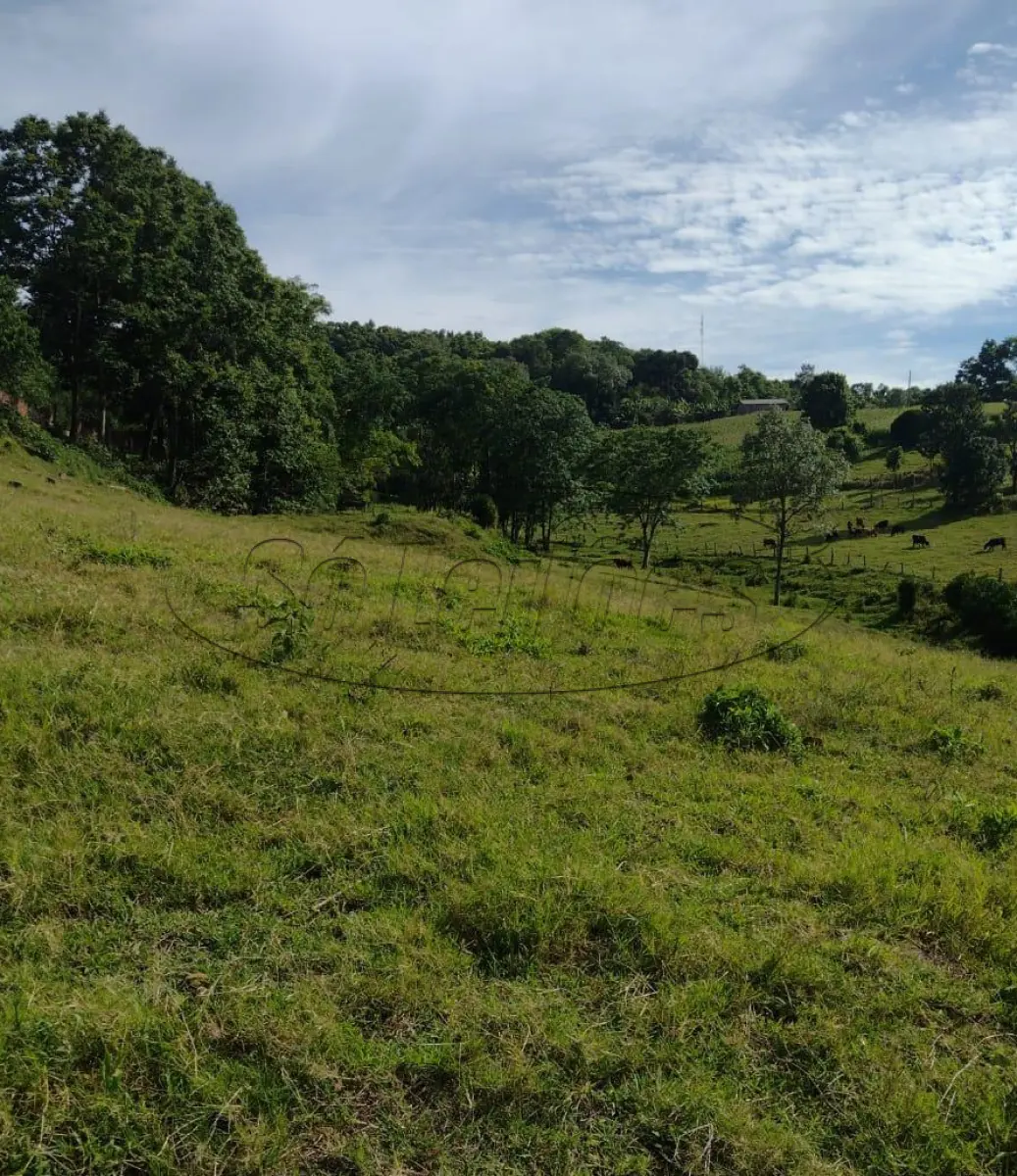 LOTE 001 - Terreno Rural