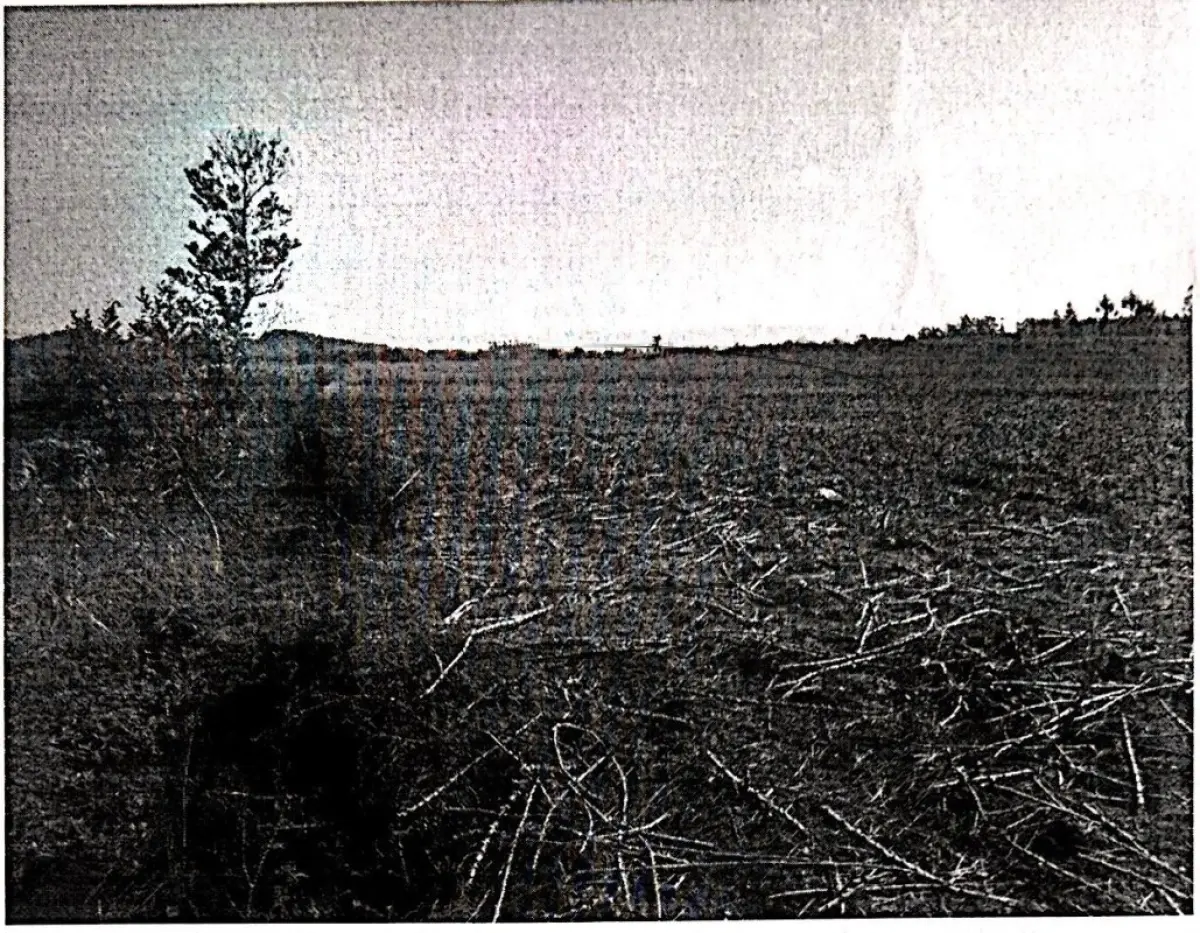 LOTE 001 - Terreno Rural