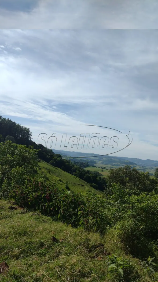 LOTE 001 - Terreno Rural