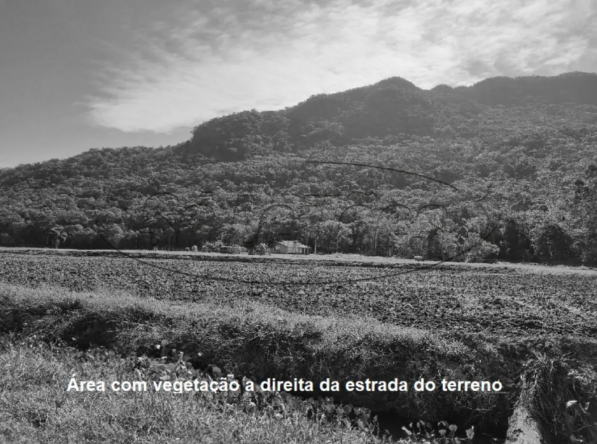 LOTE 001 - Terreno Rural