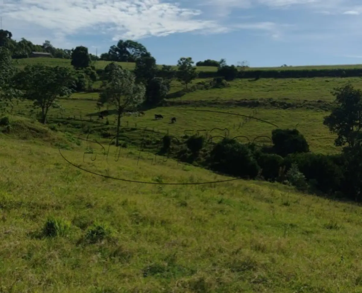 LOTE 001 - Terreno Rural