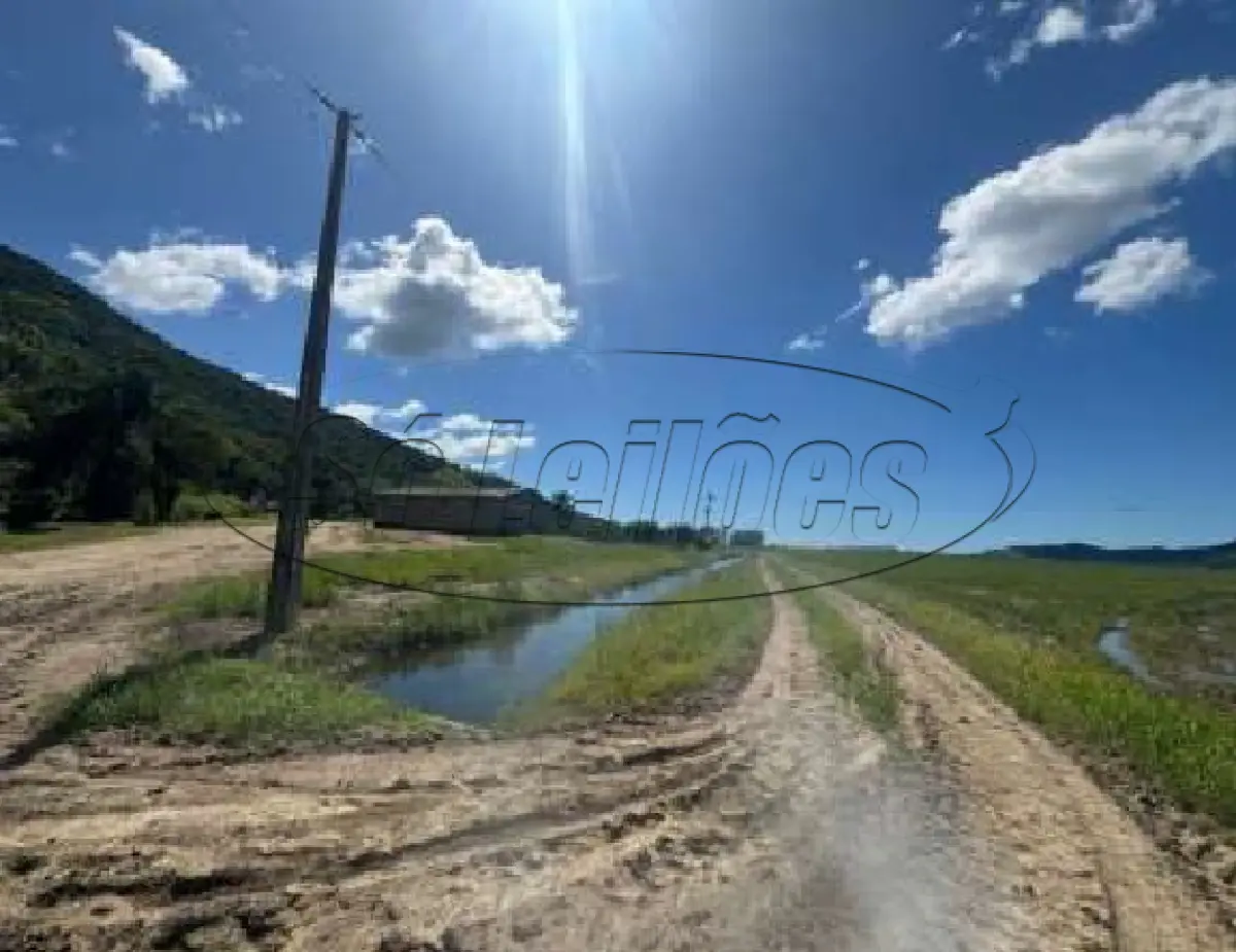 LOTE 001 - Terreno Rural