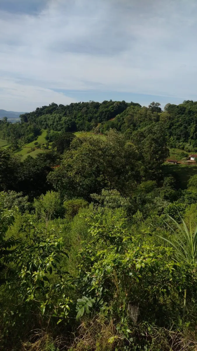 LOTE 001 - Terreno Rural