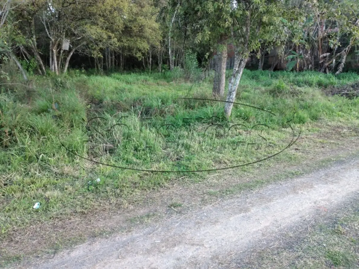 LOTE 000 - terreno