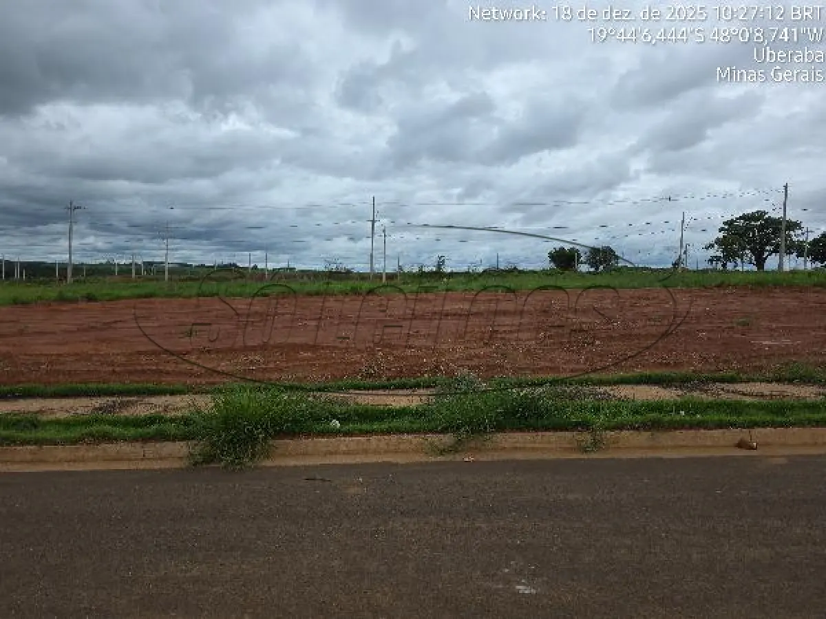 LOTE 141 - MG /  UBERABA / TERRENO