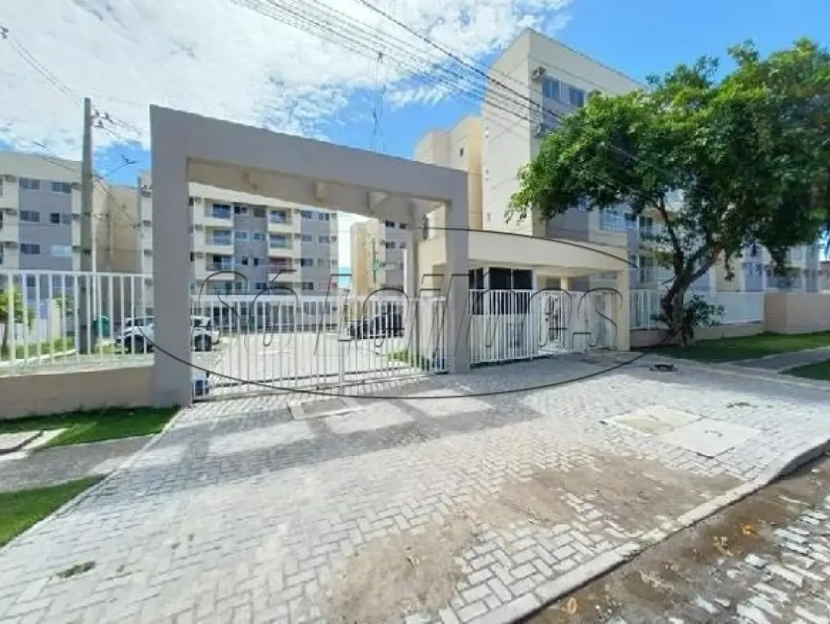 LOTE 203 - PE /  PAULISTA / APARTAMENTO