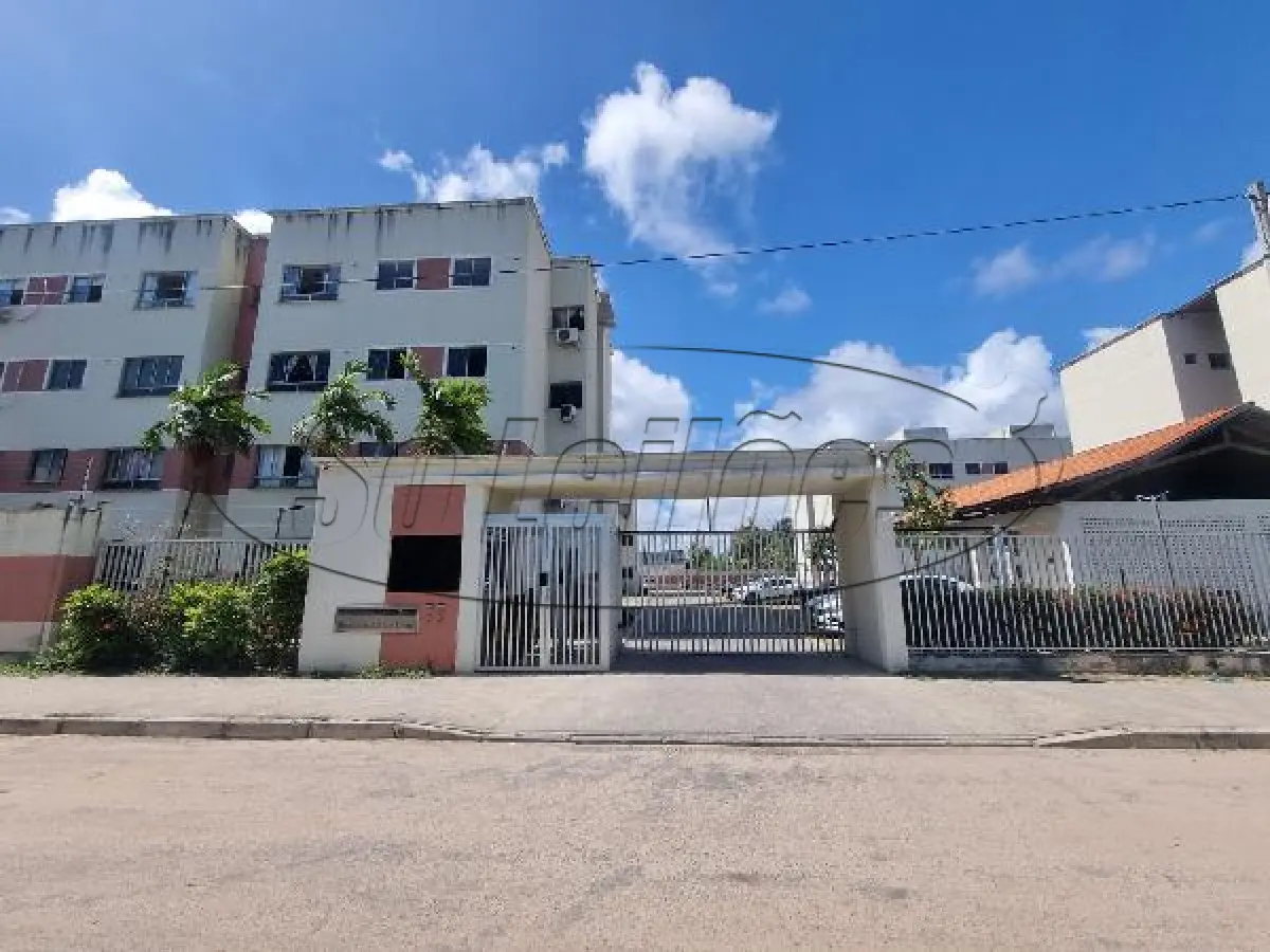 LOTE 202 - PE /  PAULISTA / APARTAMENTO