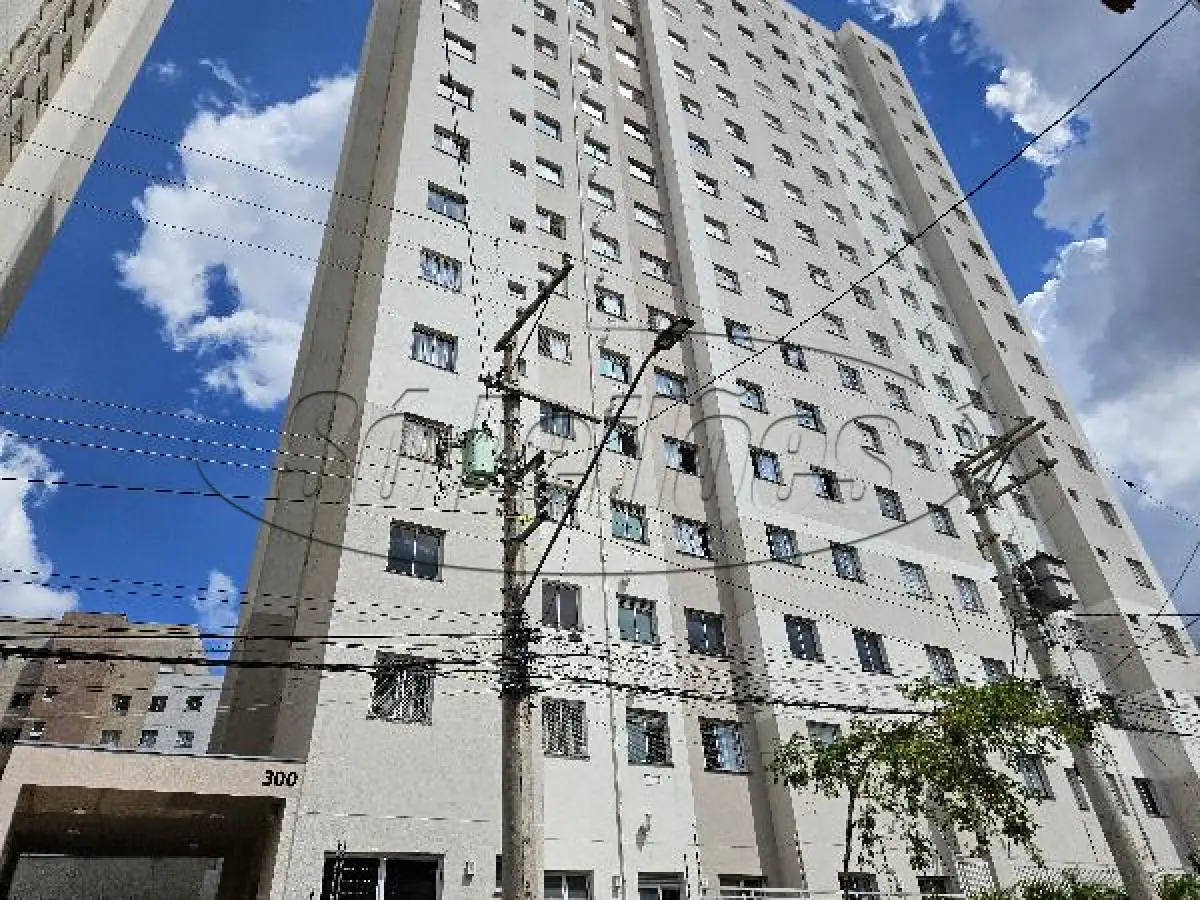 LOTE 502 - SP / SÃO PAULO / APARTAMENTO