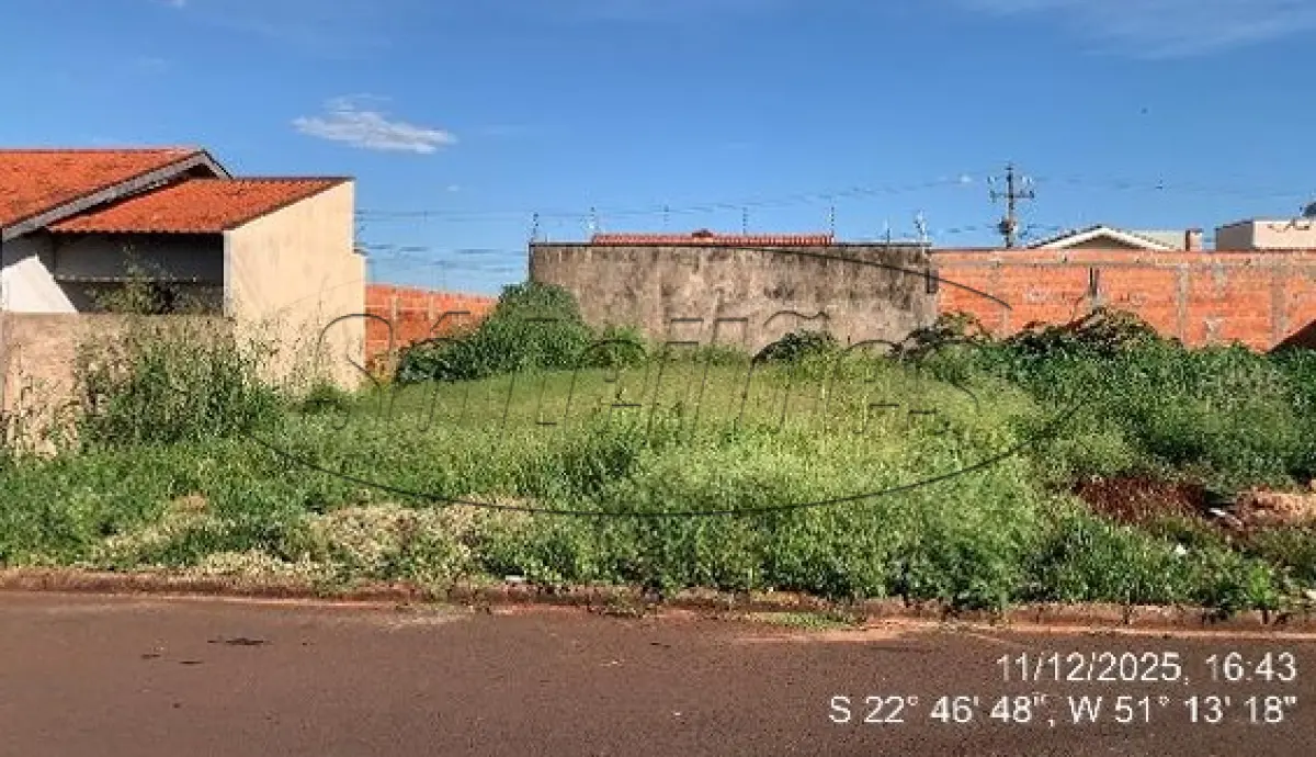 LOTE 216 - PR / ALVORADA DO SUL / TERRENO